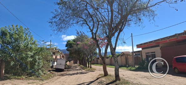 Street scene (25)
