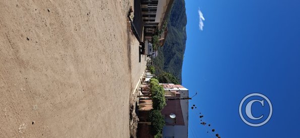 Street scene (26)