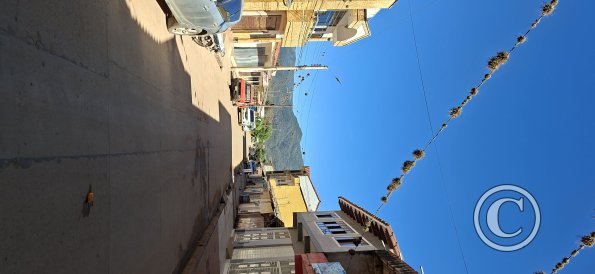 Street scene (31)