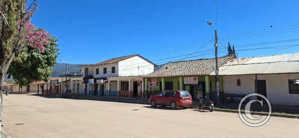 Street scene (7)