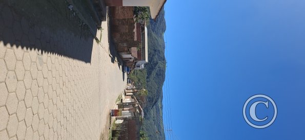 Street scene