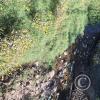 a creek (2)