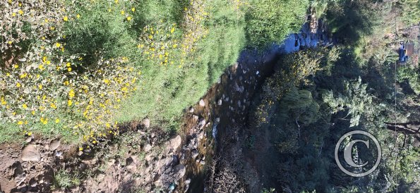 a creek (2)