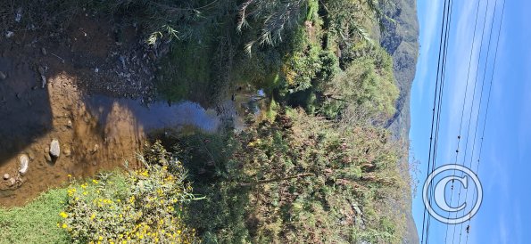 a creek