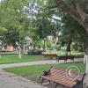 Plaza Central (3)