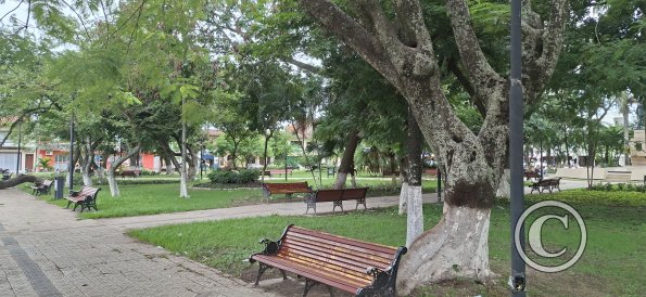 Plaza Central (3)