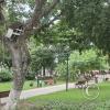 Plaza Central (4)