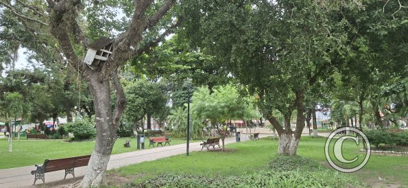 Plaza Central (4)
