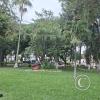 Plaza Central (5)