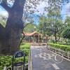Parque Principal (5)