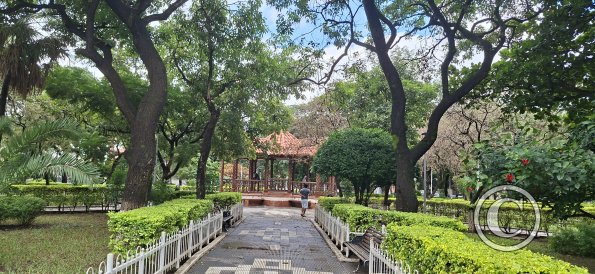 Parque Principal (6)