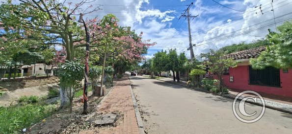 Calle Warnes
