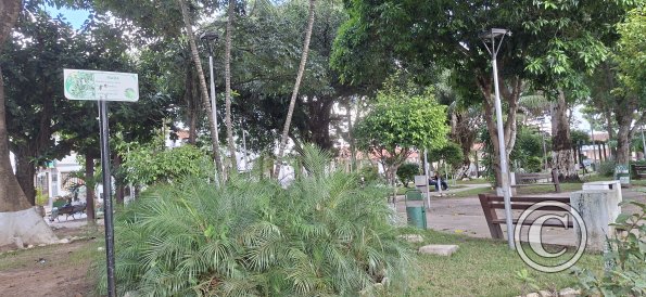 The main plaza (3)