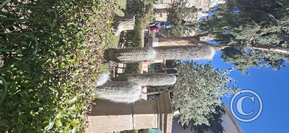 Plaza San Bernardo