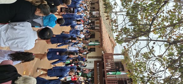 Calle Sucre (13)