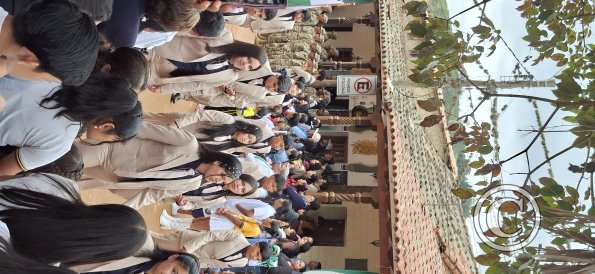 Calle Sucre (7)