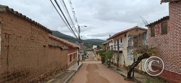 Calle Warnes