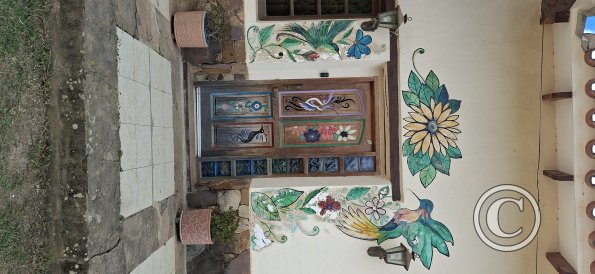 Decorated door (2)