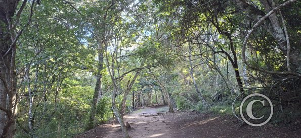 El Fuerte (39)