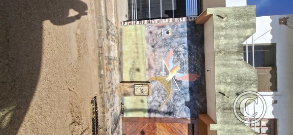 Mural Calle Warnes
