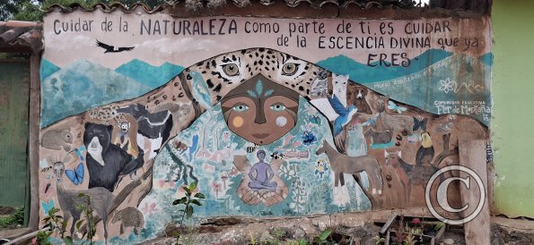 Mural on Calle Arenales