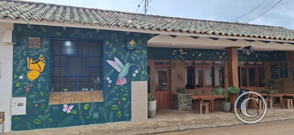 Mural on Calle Bolivar (2)