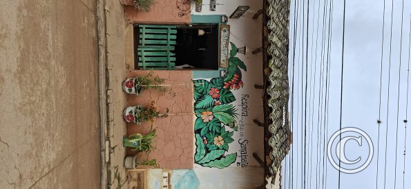 Mural on Calle Bolivar (4)