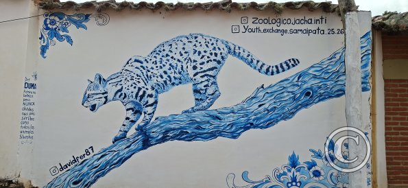 Mural on Calle Campero (3)