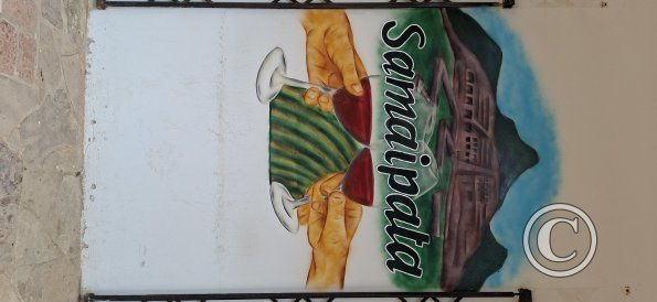Mural on Calle Ruben Terrazas (2)