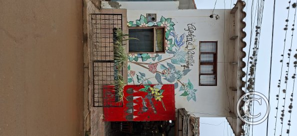 Mural on Calle Ruben Terrazas