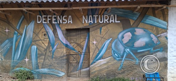 Mural on Calle Sucre (2)