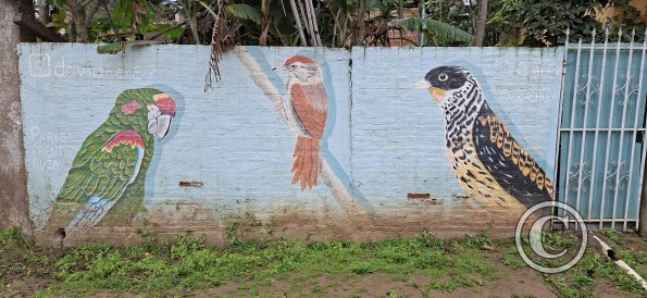 Mural on Calle Sucre (3)