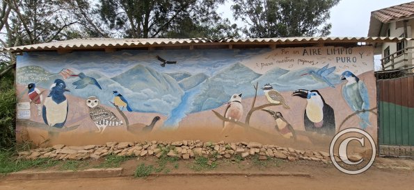 Mural on Calle Sucre (5)