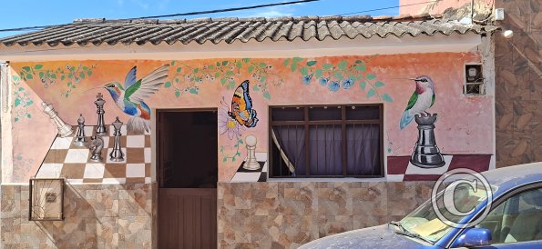 Mural on Calle Warnes (2)