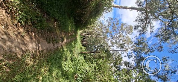 Parque La Pitita (2)
