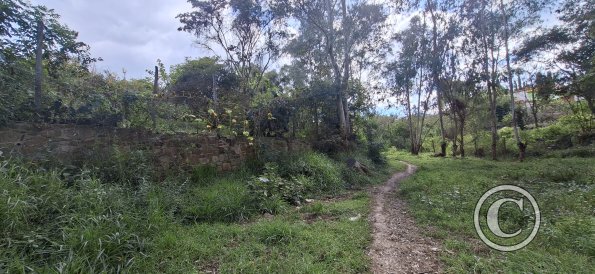 Parque La Pitita (4)