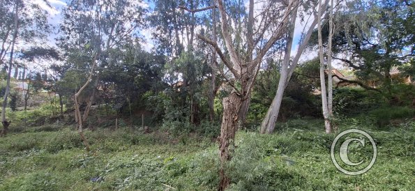 Parque La Pitita (5)