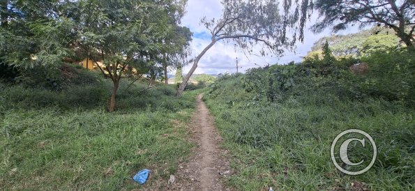 Parque La Pitita (6)