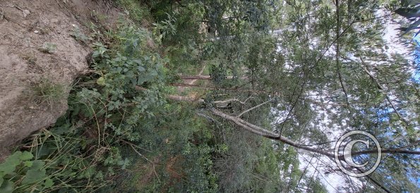Parque La Pitita