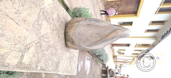Plaza Principal (30)
