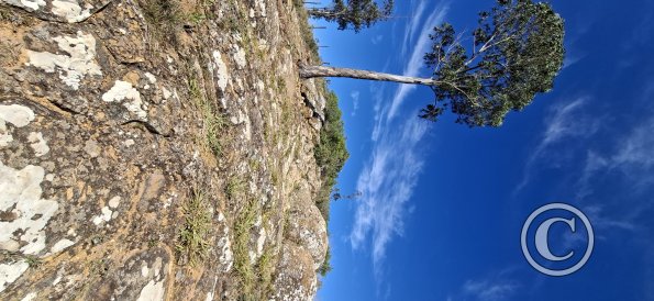 View from a hill above the town (6)
