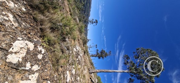 View from a hill above the town (7)