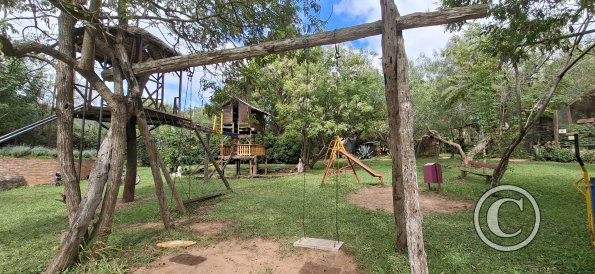 Wild animal refuge (15)