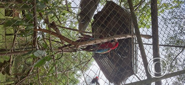 Wild animal refuge (28)