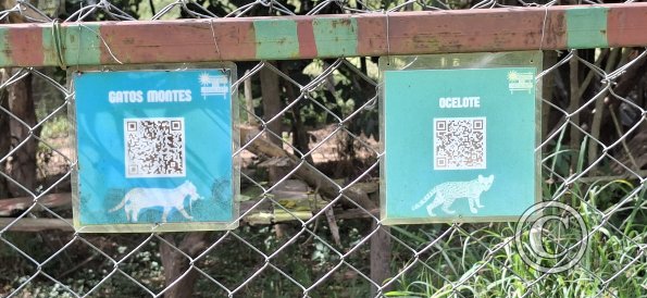 Wild animal refuge (3)