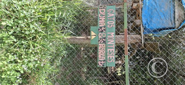 Wild animal refuge (4)