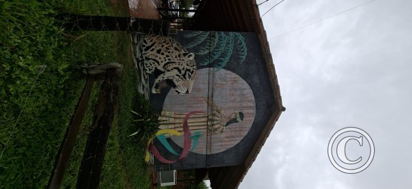 Mural on Hwy RN10
