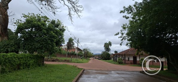 Street scene (10)