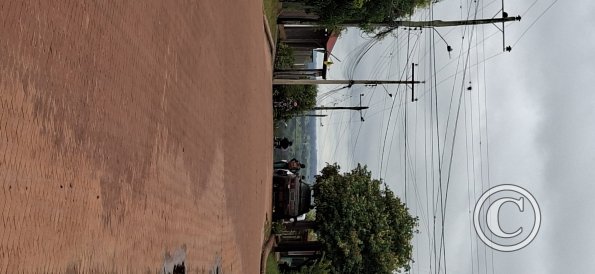 Street scene (20)