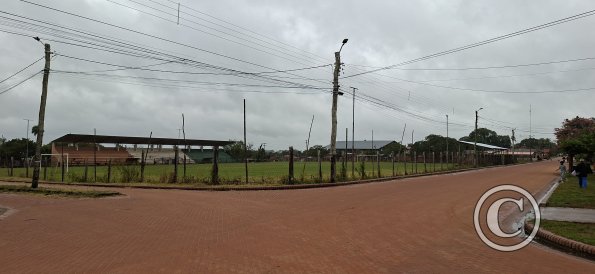 Street scene (7)